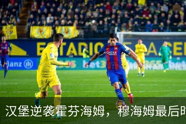 汉堡逆袭霍芬海姆，穆海姆最后时刻破门夺胜
